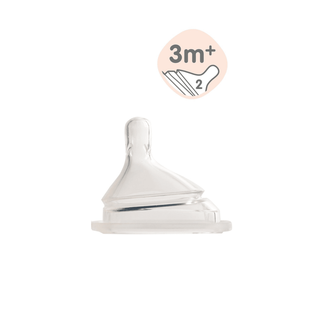 Hegen PPSU Baby Bottle - 3 to 6 Months - 240ml/8oz - Purple - 2-Pack