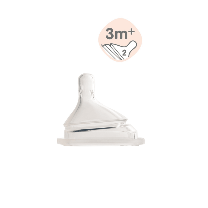 Hegen PPSU Baby Bottle - 3 to 6 Months - 240ml/8oz - Purple - 2-Pack