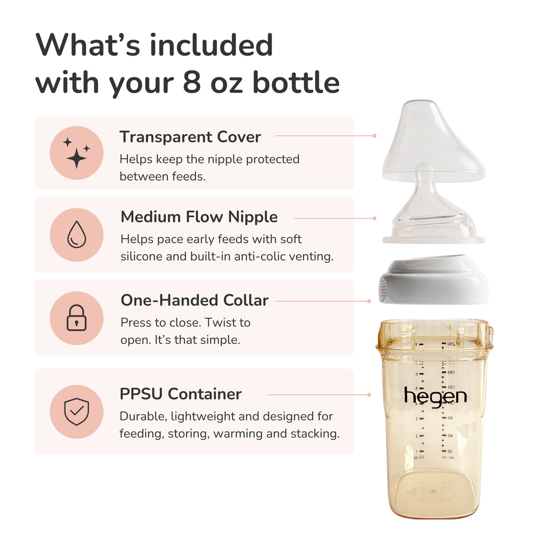 Hegen PPSU Baby Bottle - 3 to 6 Months - 240ml/8oz - Purple