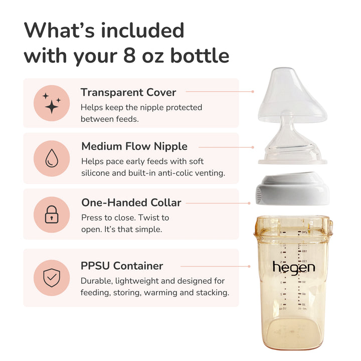 Hegen PPSU Baby Bottle - 3 to 6 Months - 240ml/8oz - Purple
