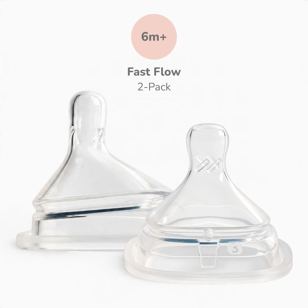 Hegen Nipple Fast Flow, 2-Pack (6 months and beyond)