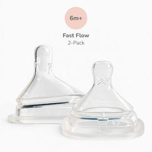 Hegen Nipple Fast Flow, 2-Pack (6 months and beyond)