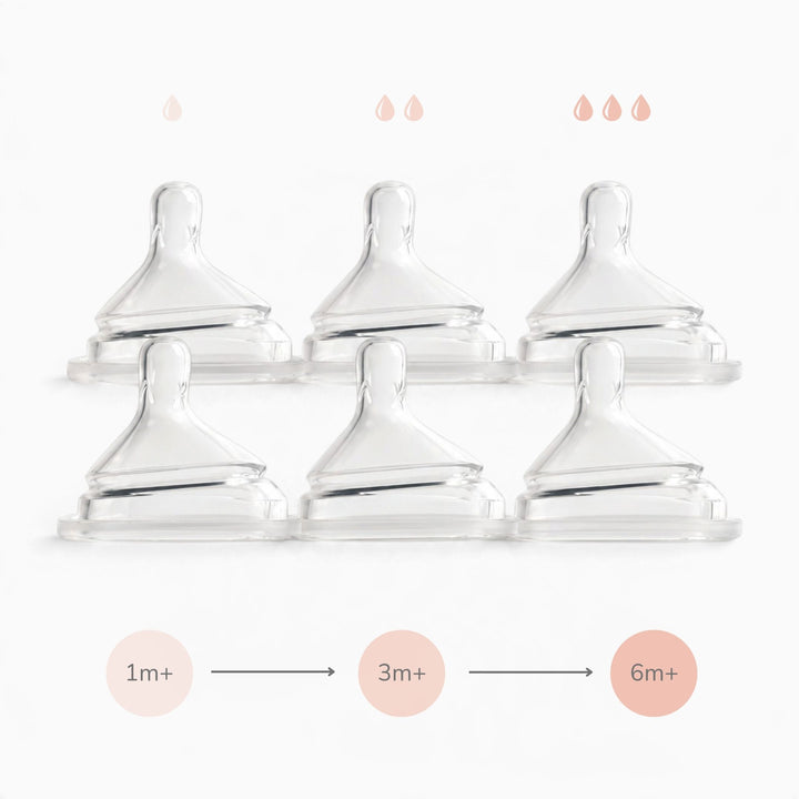 Grow With You Nipple Bundle (1 to 6 months)